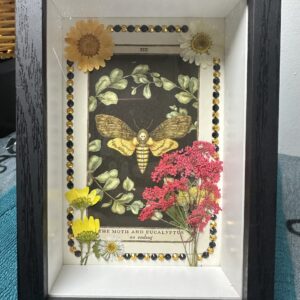 Botanical Shadow Box | The Moth & Eucalyptus