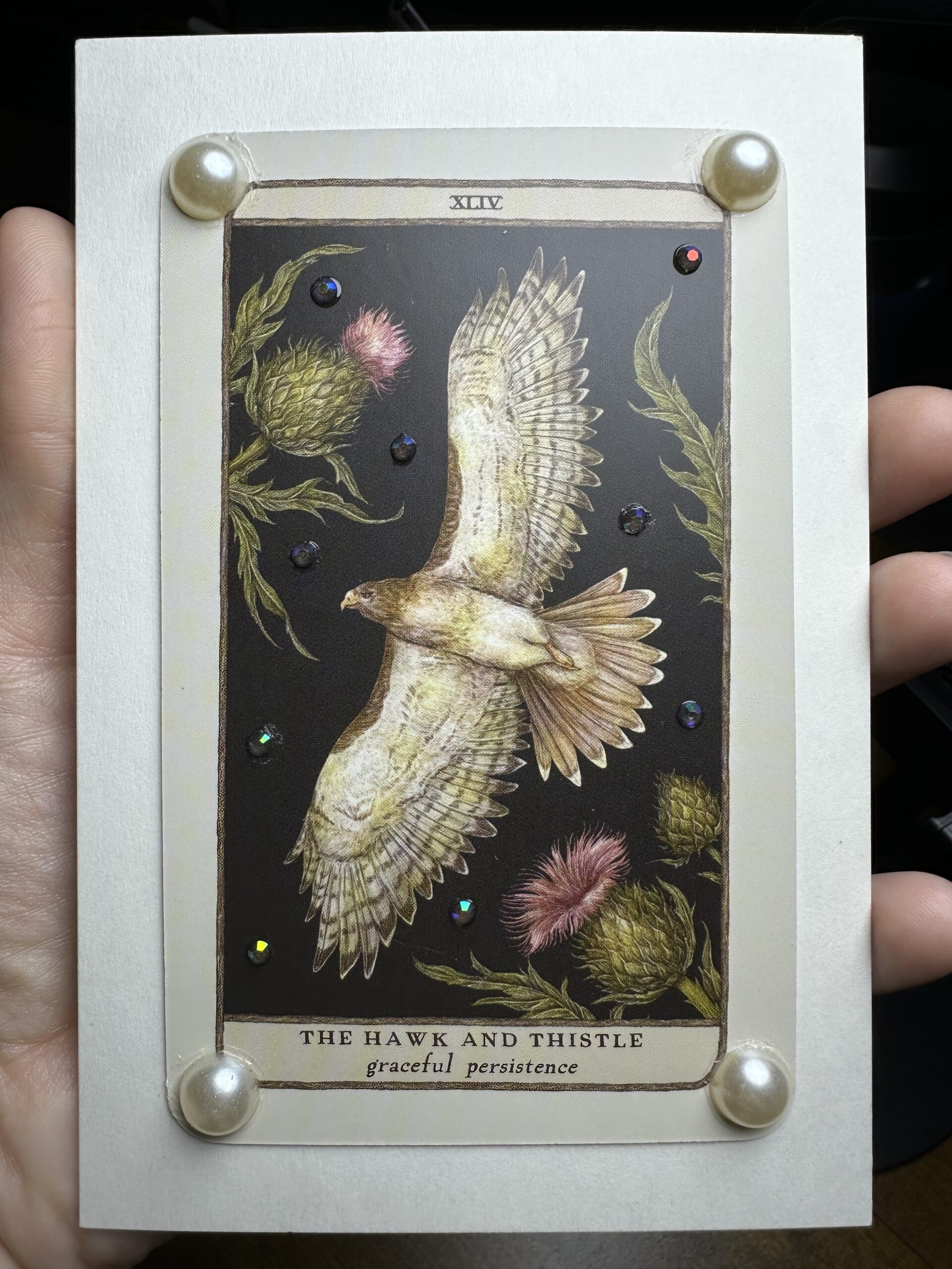 White Shadow Box | The Hawk & Thistle - Image 2