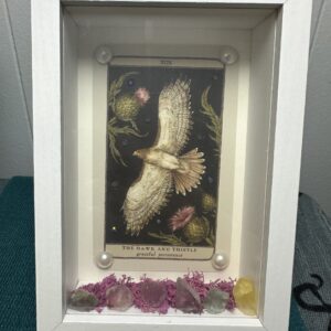 White Shadow Box | The Hawk & Thistle