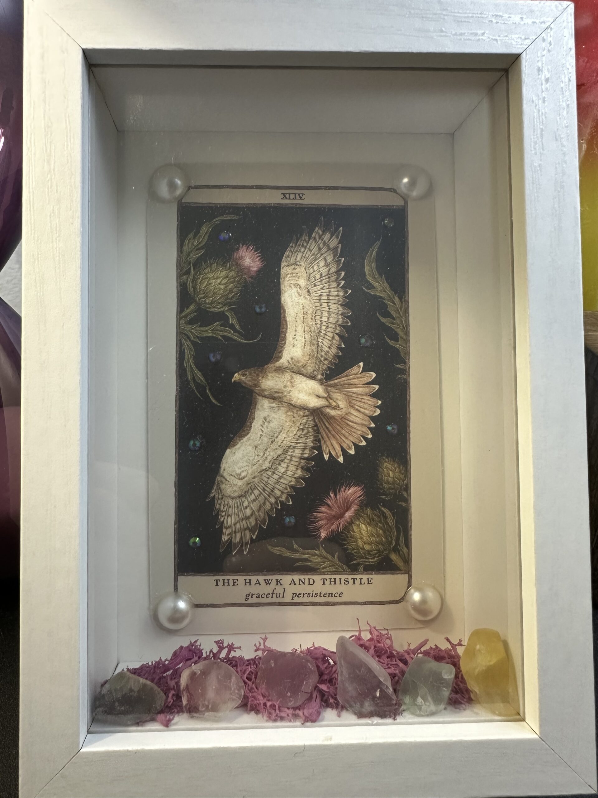 White Shadow Box | The Hawk & Thistle - Image 3