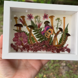 Mushroom/Flower with Butterfly accent Shadow Box