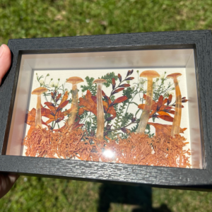 Mushroom/Flower Shadow Box